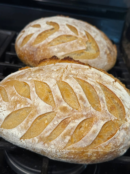 The Sourdough Trend — How It Changed My Home