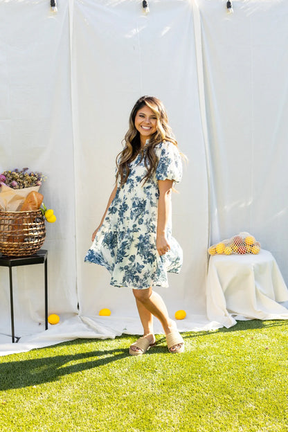 Blue/Ivory Willow Mini Cotton Dress